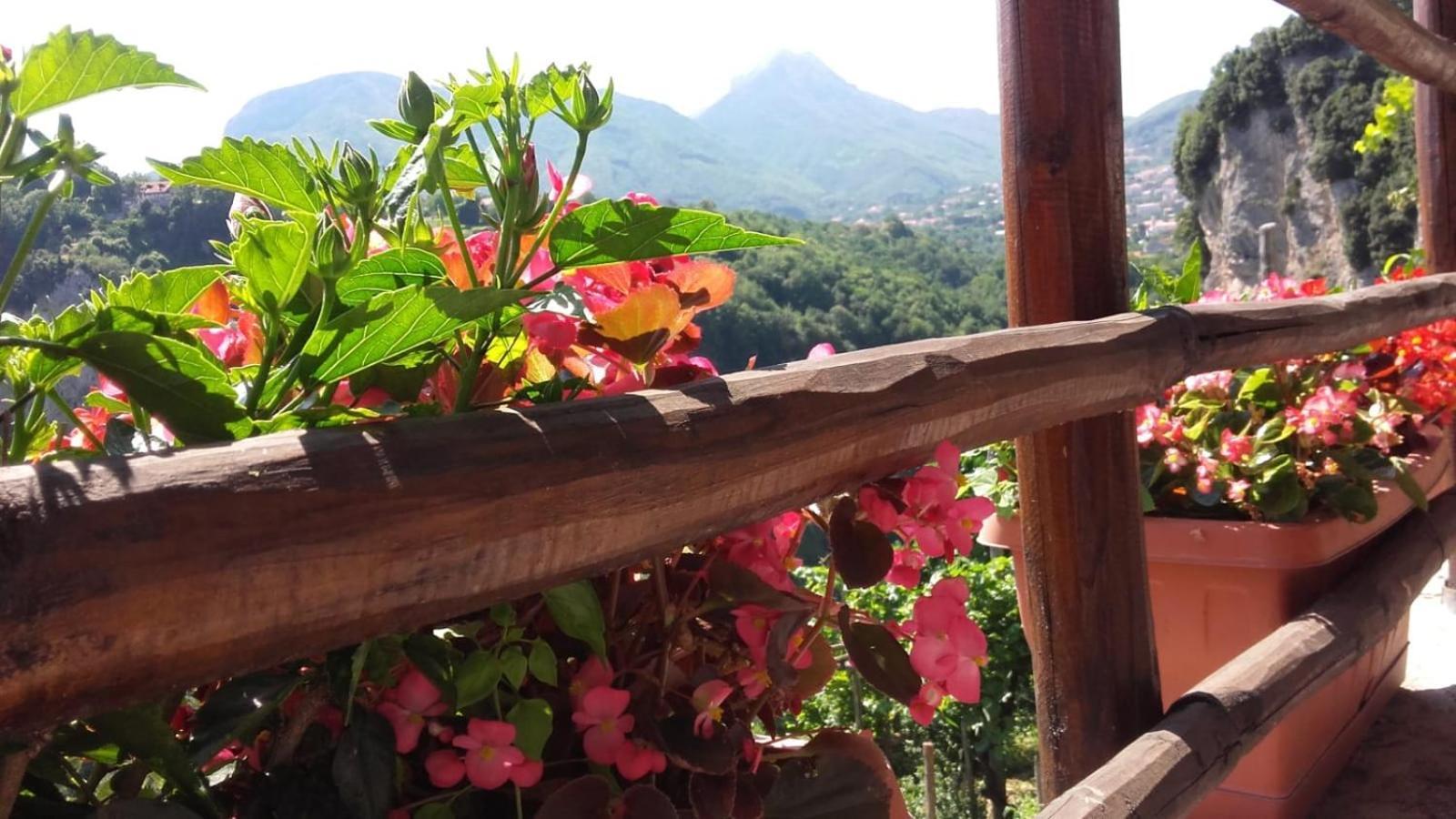 Agriturismo Orrido Di Pino Agerola Exterior foto