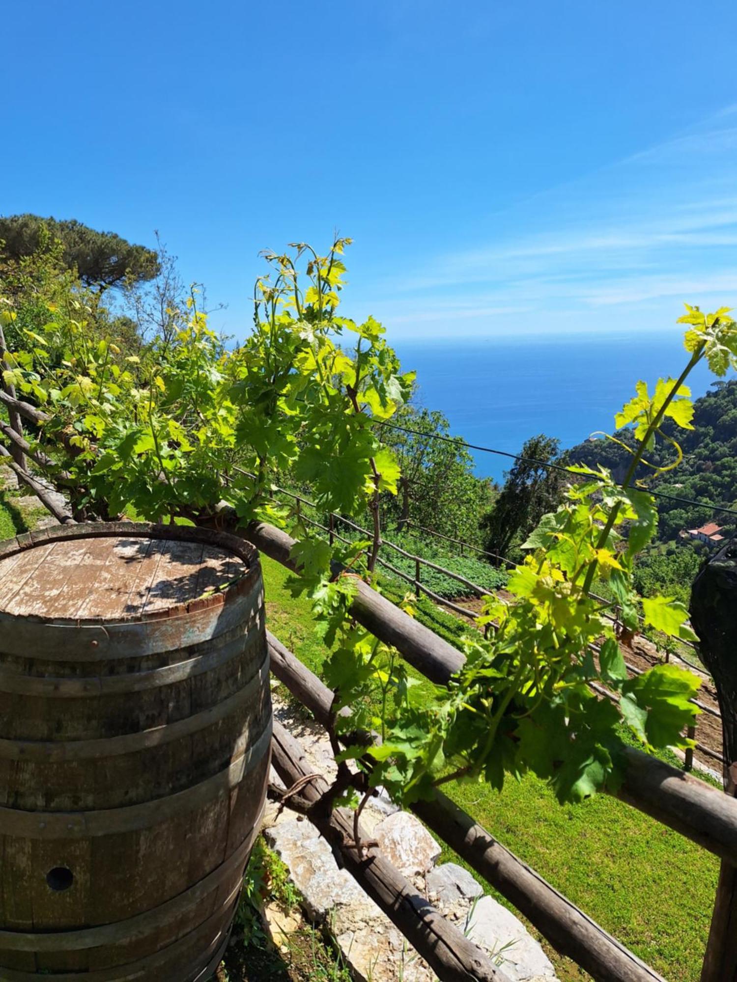 Agriturismo Orrido Di Pino Agerola Exterior foto