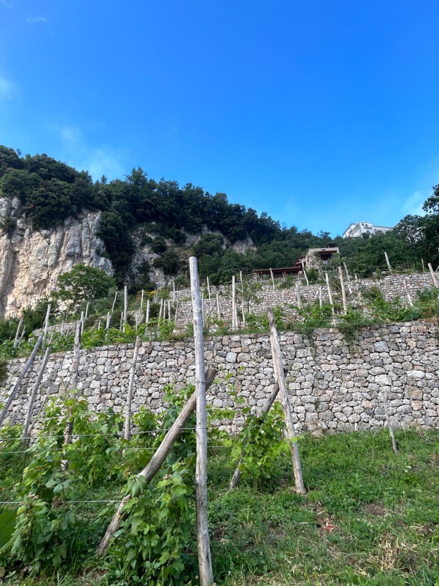 Agriturismo Orrido Di Pino Agerola Exterior foto