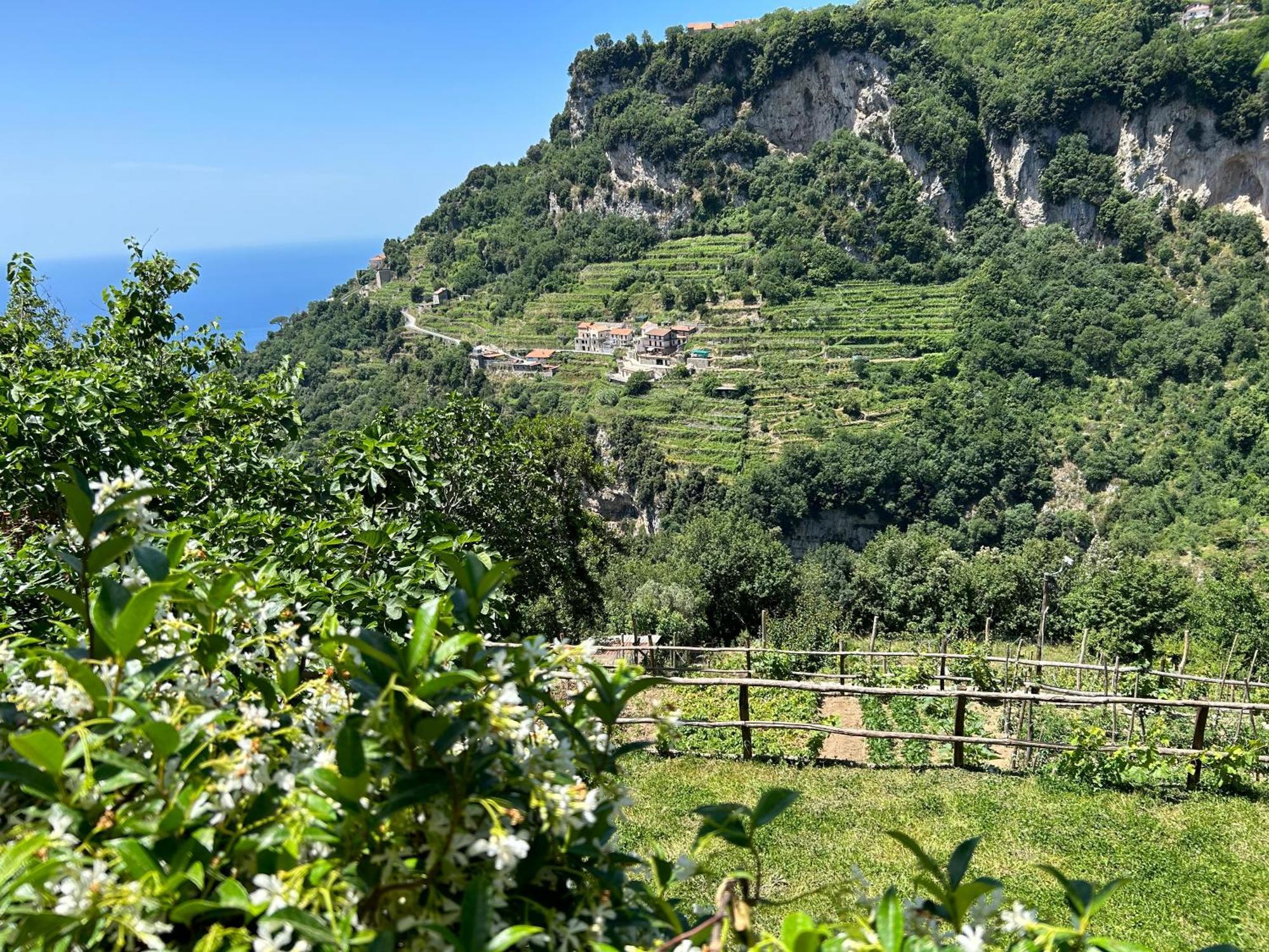 Agriturismo Orrido Di Pino Agerola Exterior foto